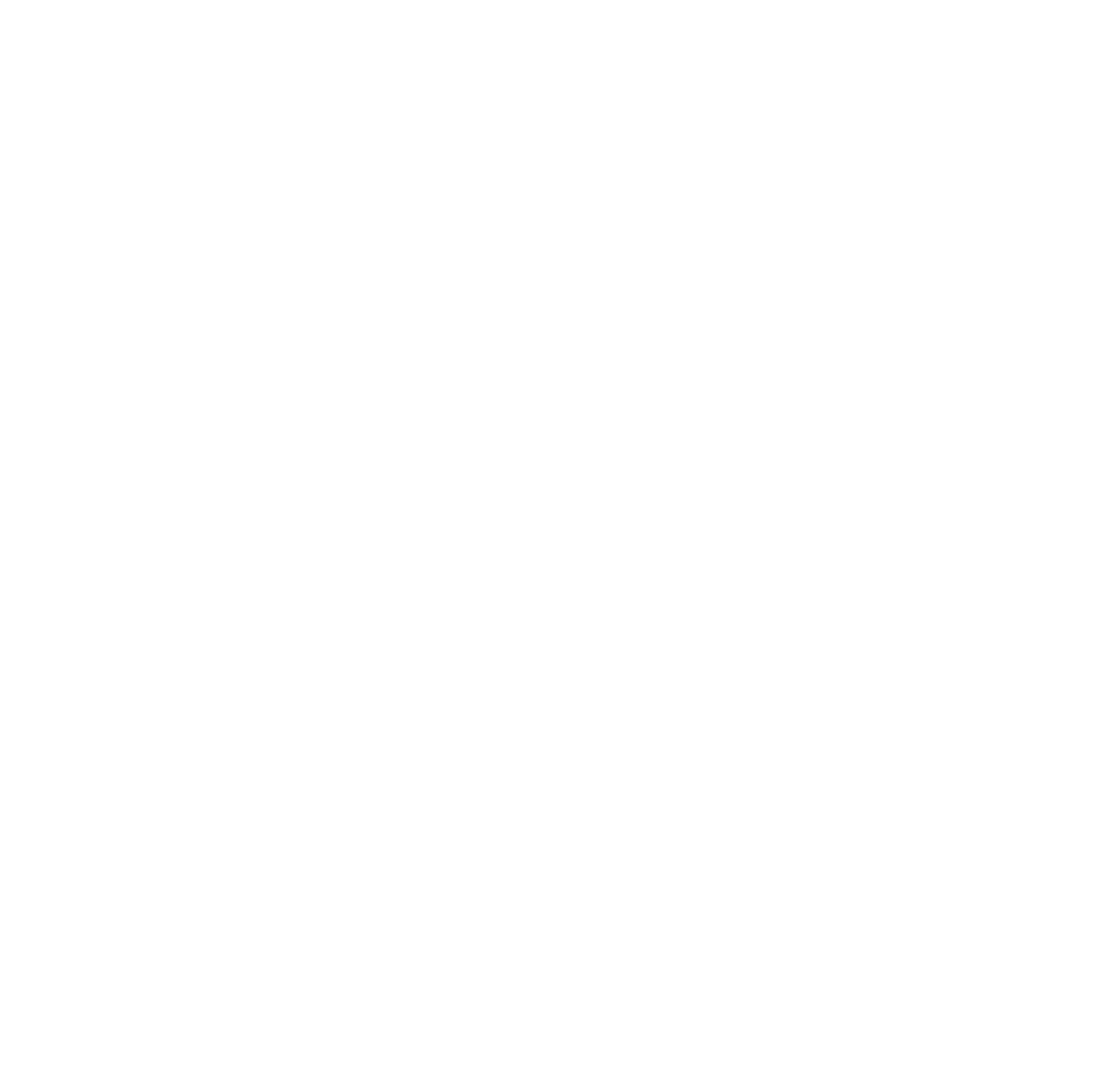 Logo Amblem Beyaz (PNG)