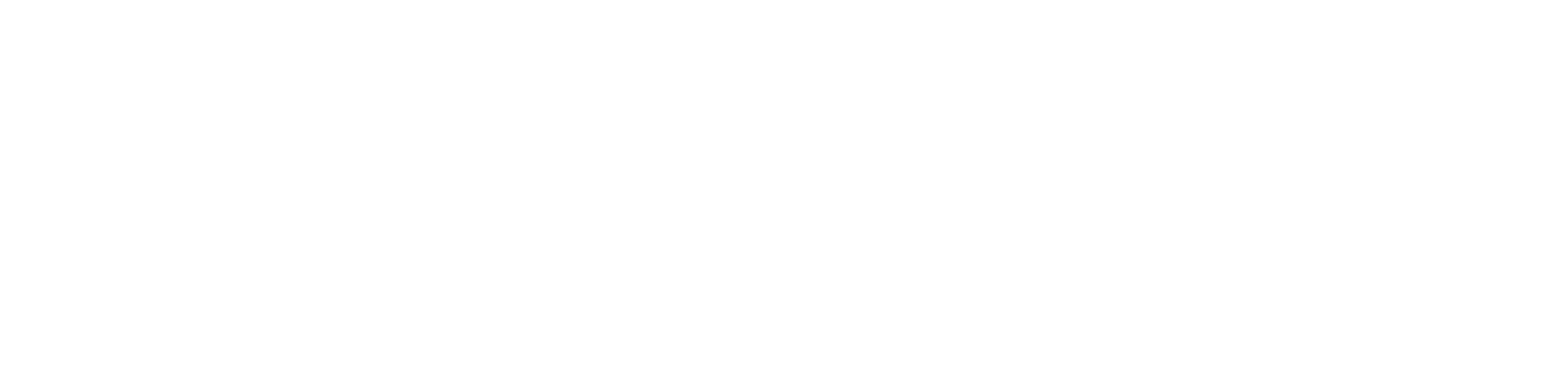 Türkçe Yatay Beyaz Renk (PNG)